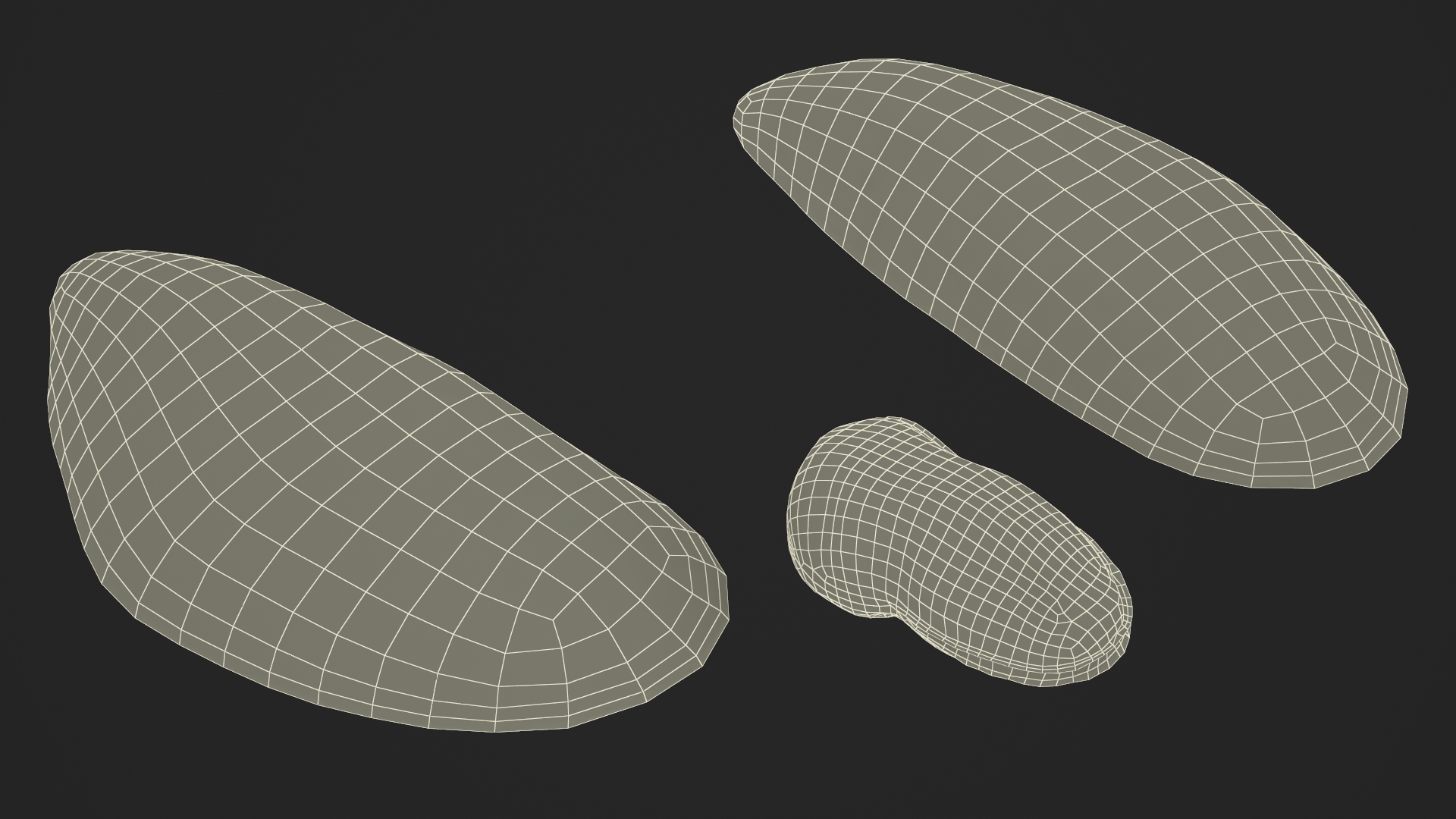 3D Open Cooked Mussel model
