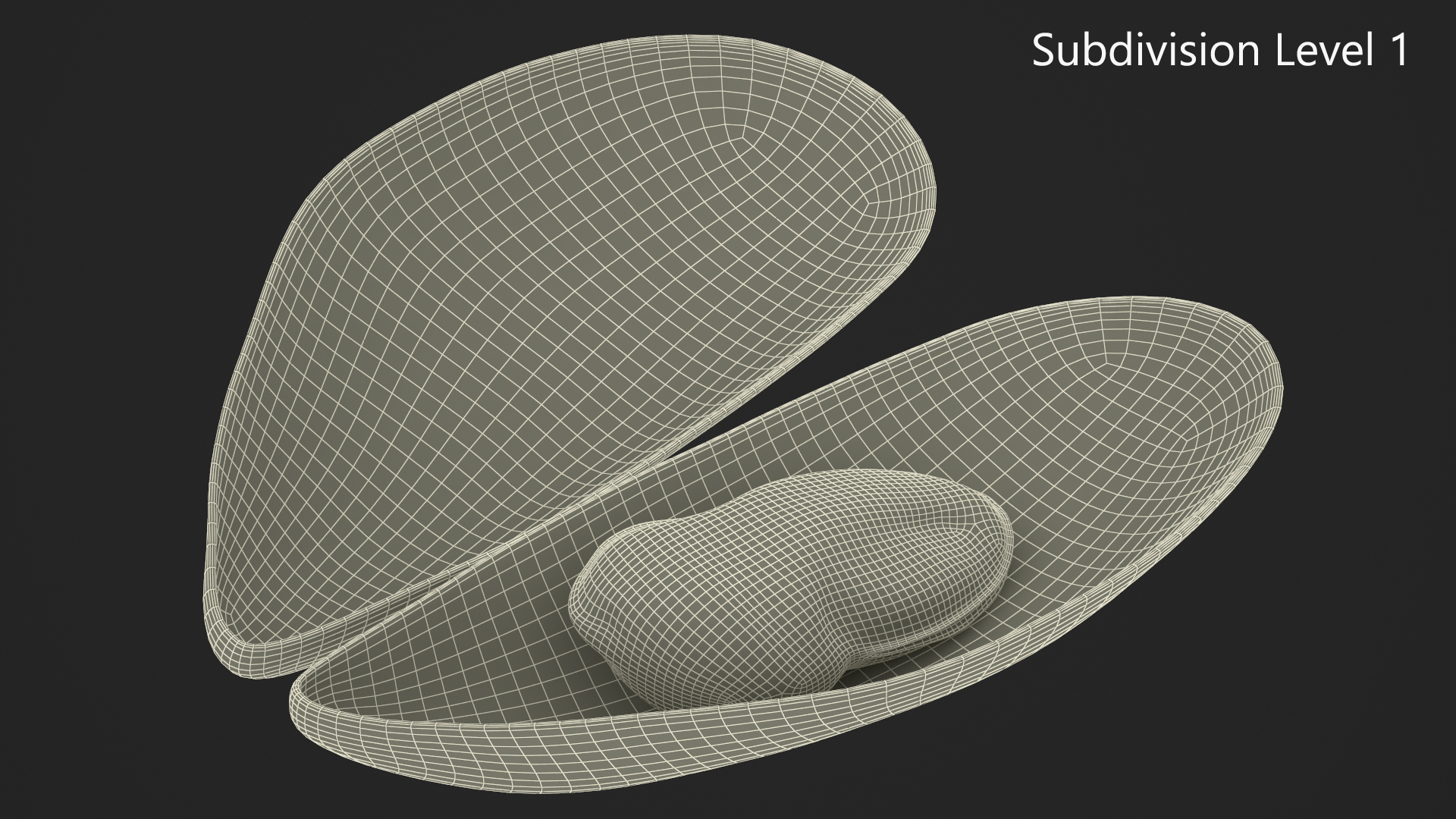 3D Open Cooked Mussel model