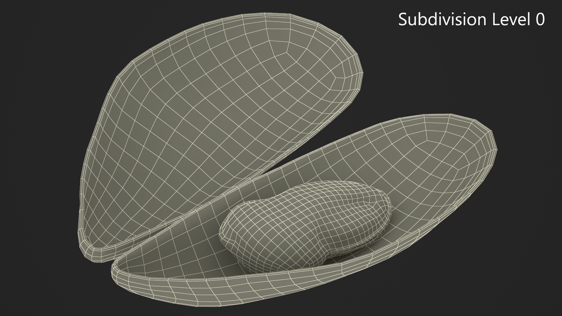 3D Open Cooked Mussel model