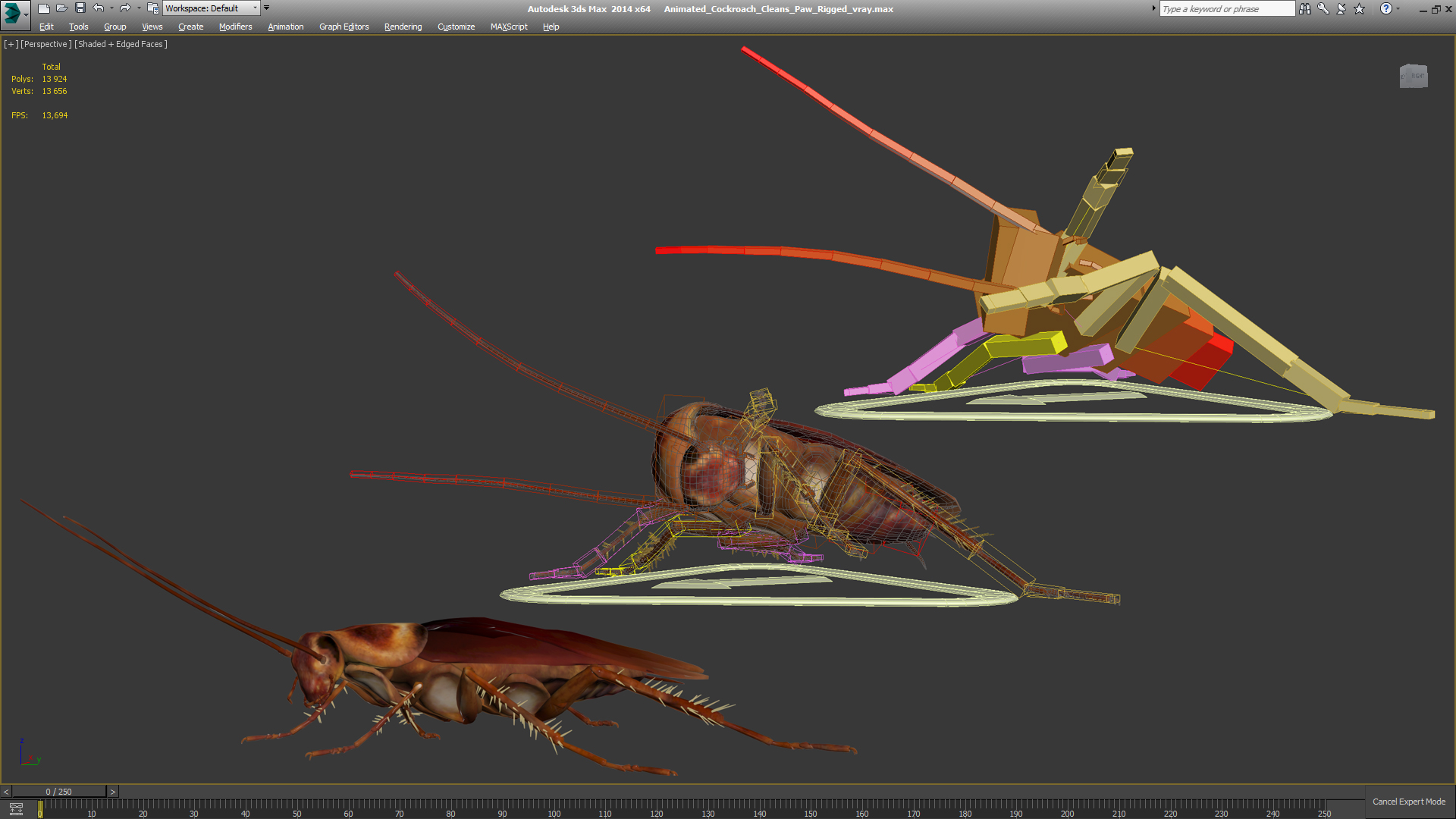 3D model Animated Cockroach Cleans Paw Rigged for Maya