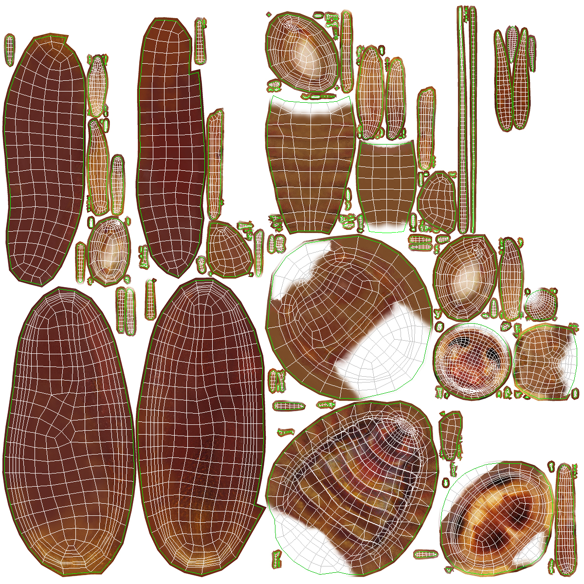 3D model Animated Cockroach Cleans Paw Rigged for Maya