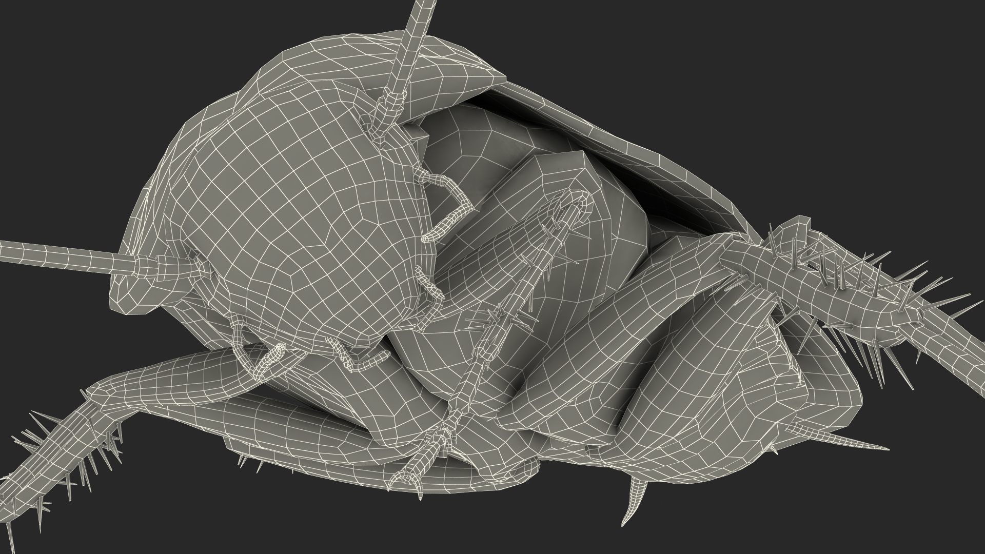 3D model Animated Cockroach Cleans Paw Rigged for Maya