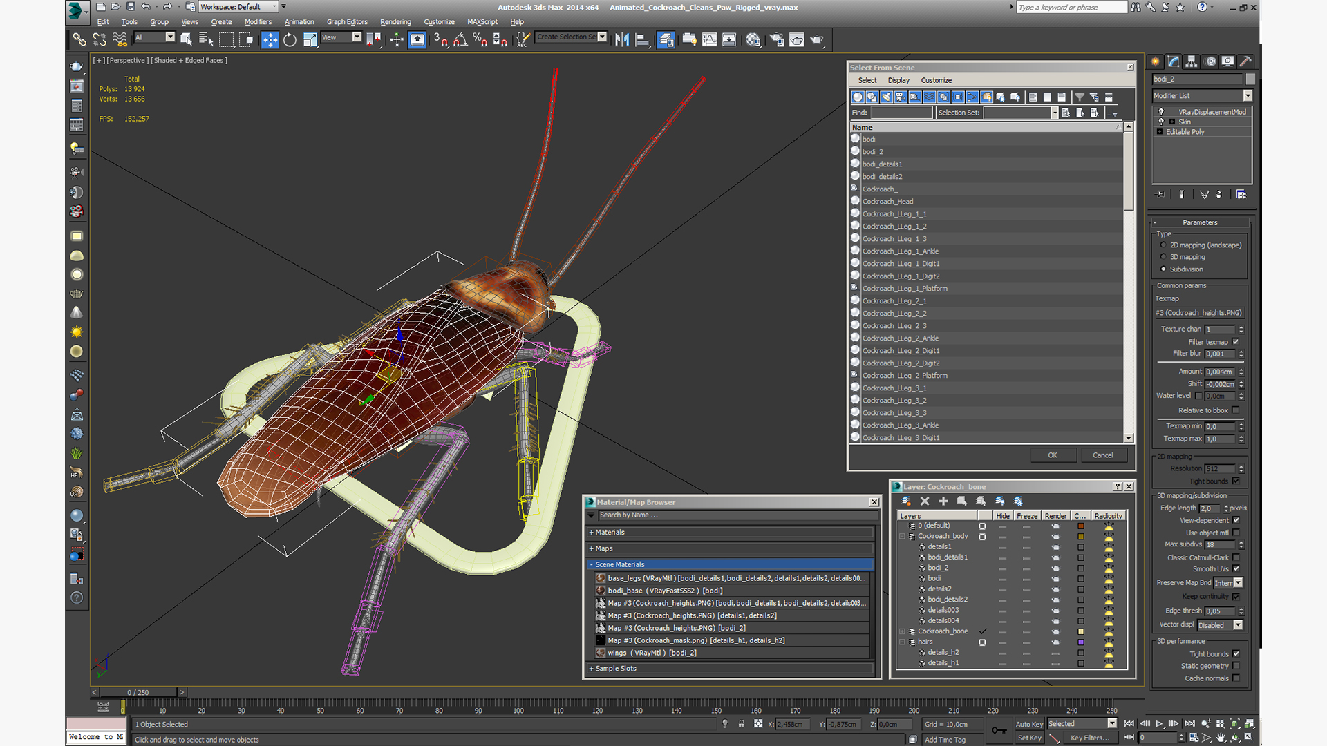 3D model Animated Cockroach Cleans Paw Rigged for Maya