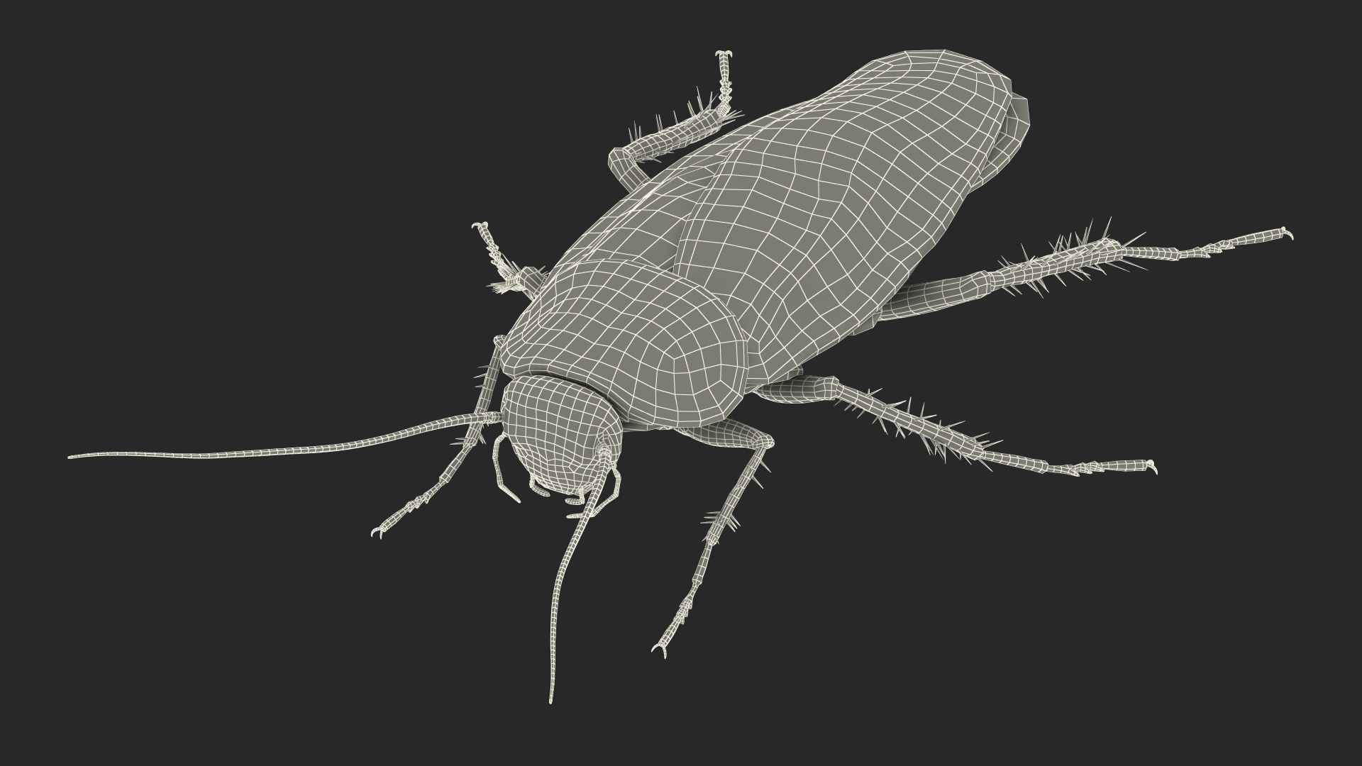 3D model Animated Cockroach Cleans Paw Rigged for Maya