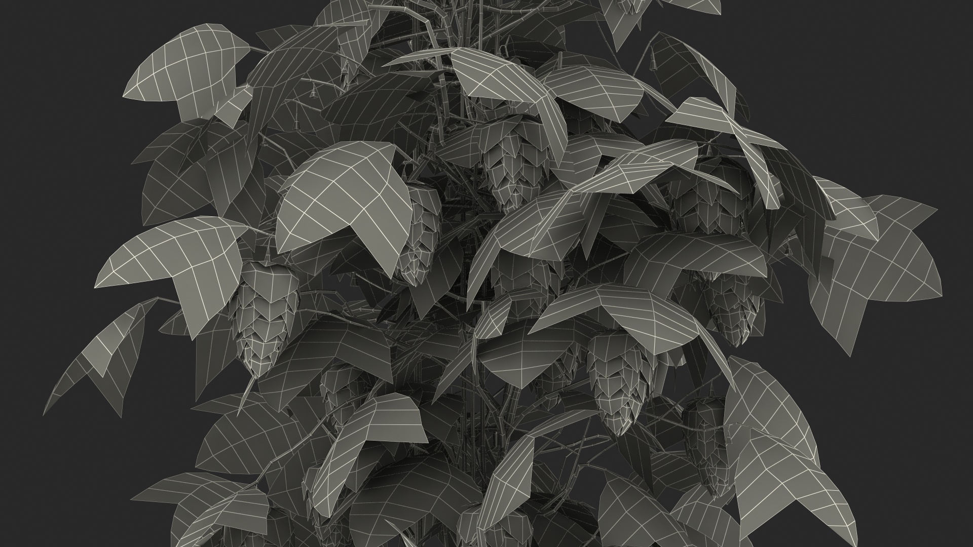 Green Growing Hops Plant 3D model