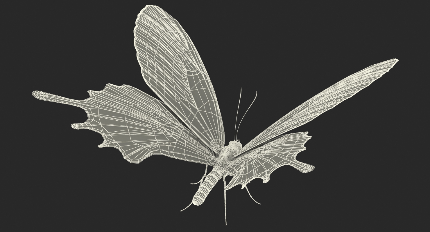 3D Bhutan Glory Swallowtail Butterfly with Fur model