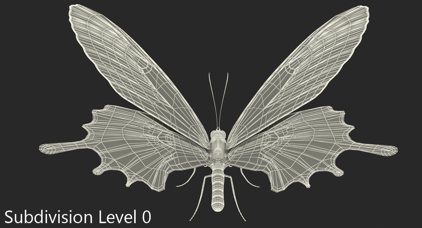 3D Bhutan Glory Swallowtail Butterfly with Fur model