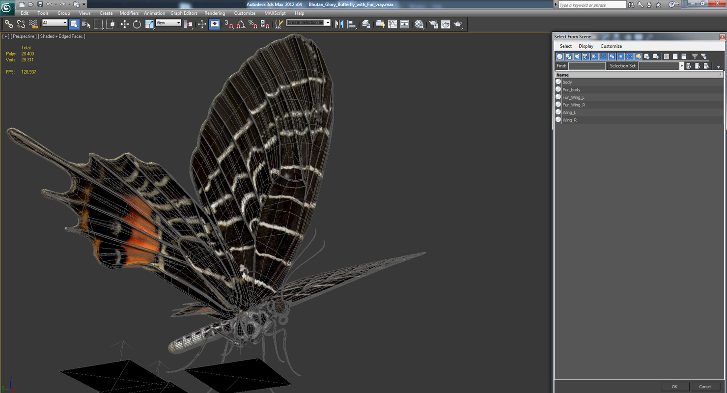3D Bhutan Glory Swallowtail Butterfly with Fur model