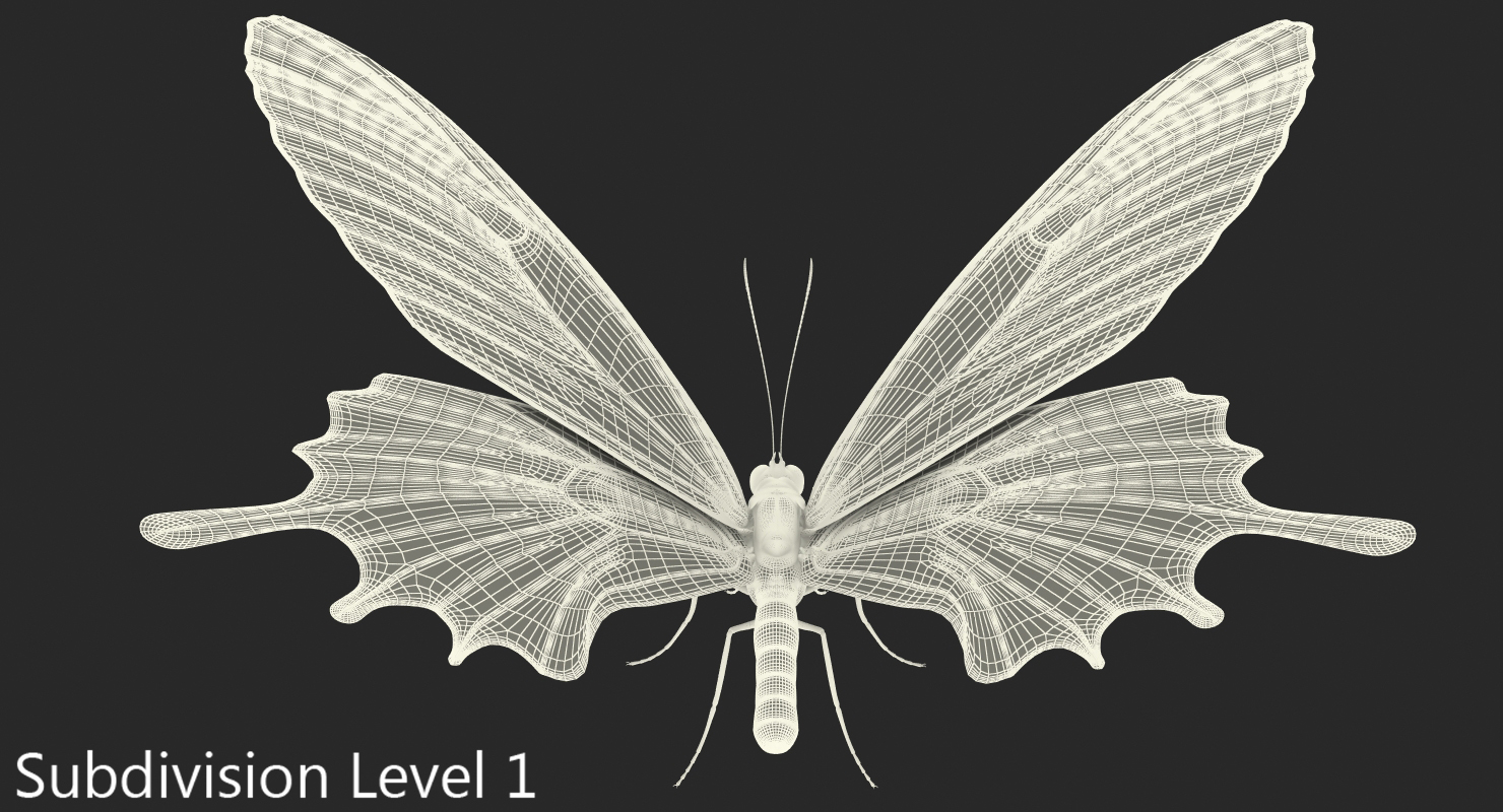 3D Bhutan Glory Swallowtail Butterfly with Fur model