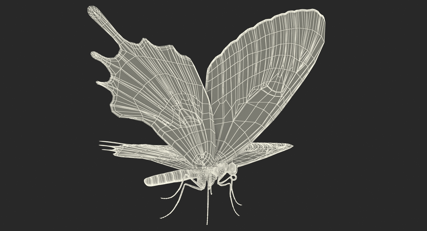 3D Bhutan Glory Swallowtail Butterfly with Fur model