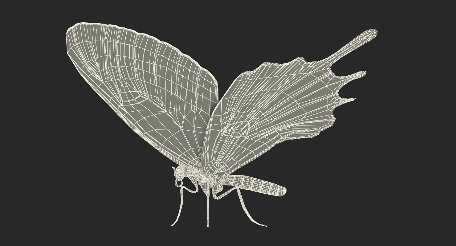 3D Bhutan Glory Swallowtail Butterfly with Fur model