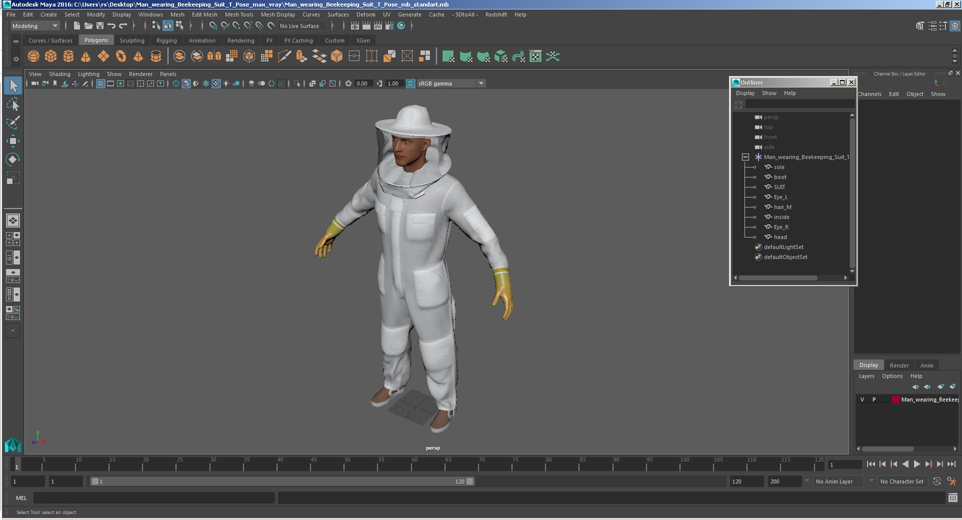 Man wearing Beekeeping Suit T Pose 3D model