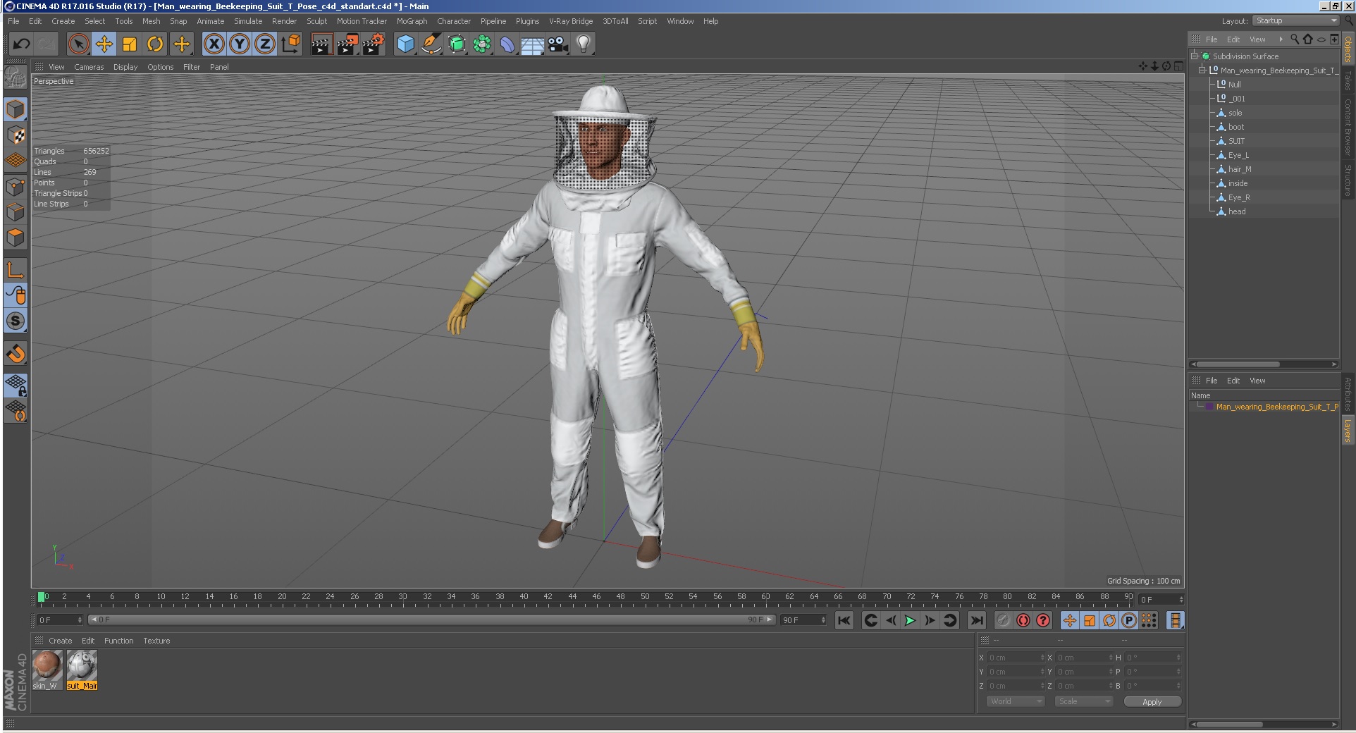 Man wearing Beekeeping Suit T Pose 3D model