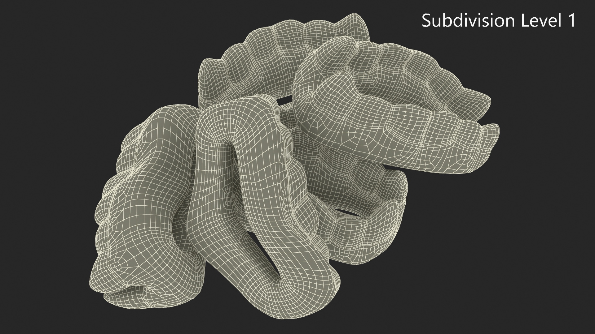 Double Teeth Gummy Candies Batch 3D