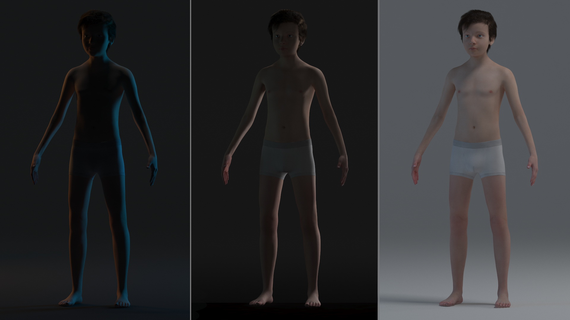 3D Young Man Full Body Anatomy Fur
