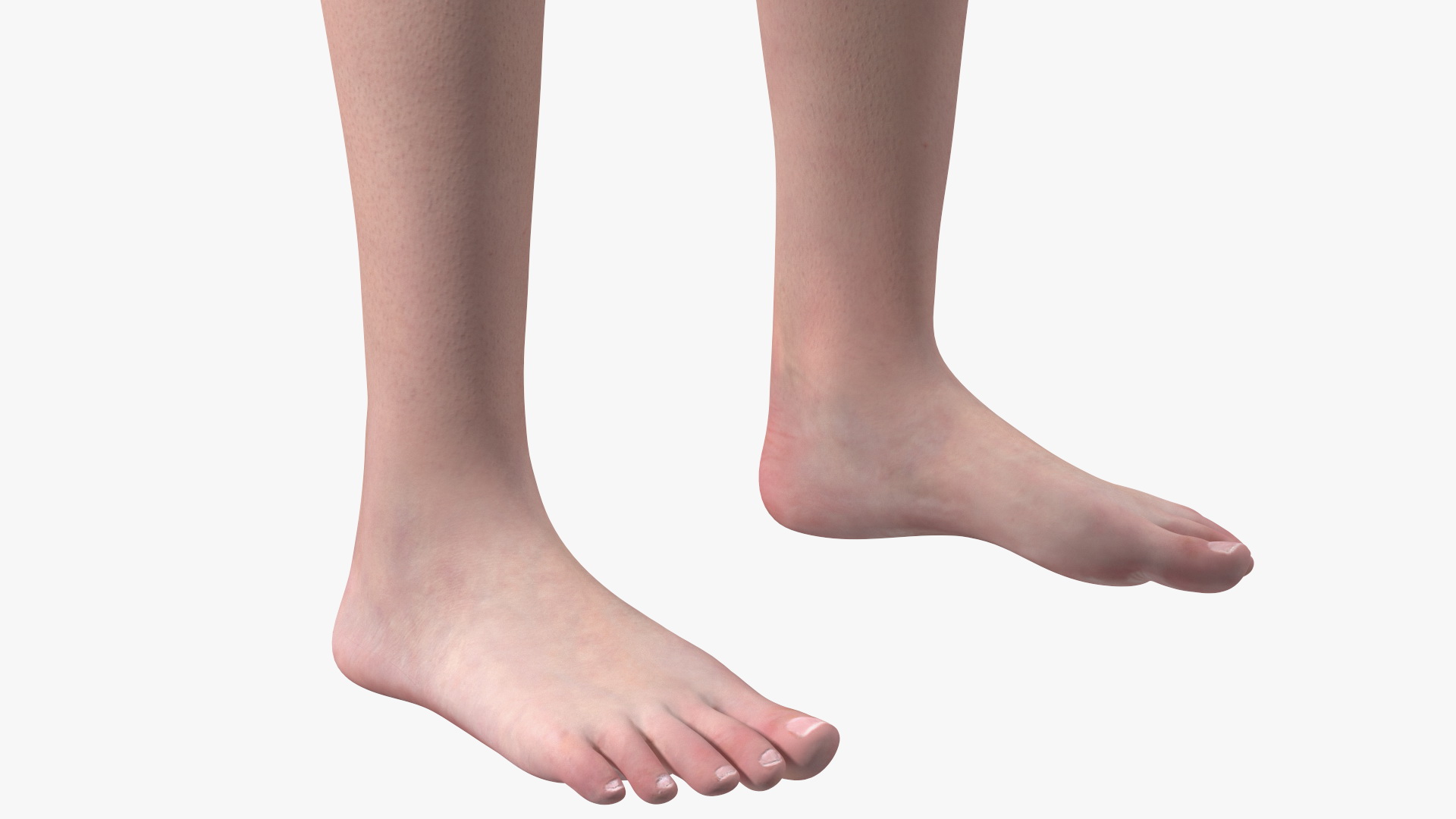 3D Young Man Full Body Anatomy Fur