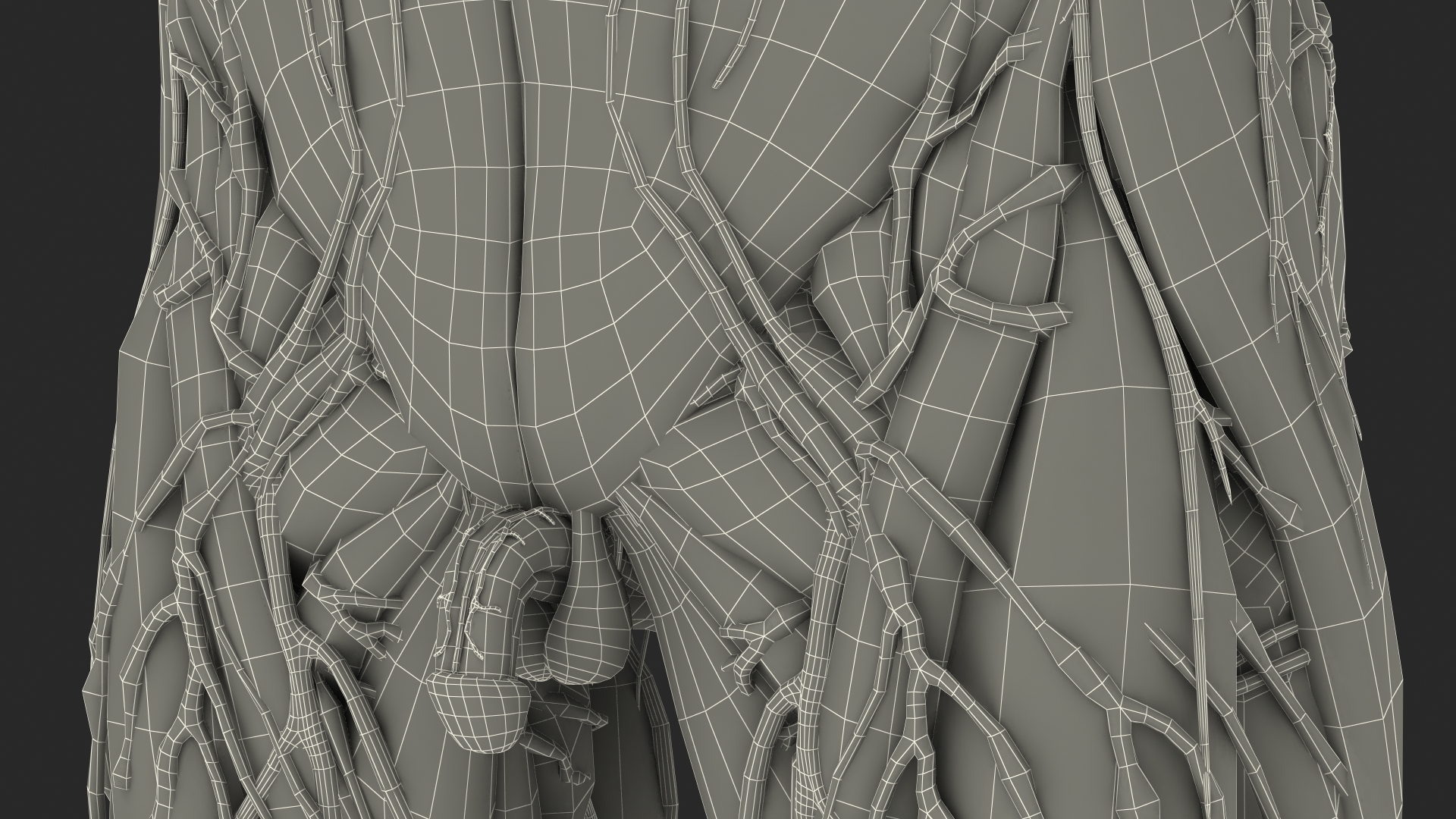 3D Young Man Full Body Anatomy Fur