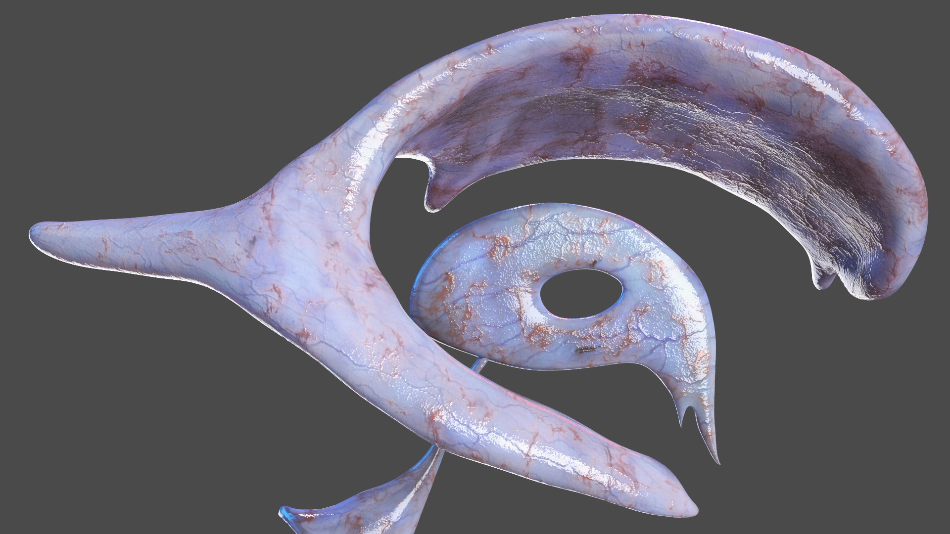 3D Young Man Full Body Anatomy Fur