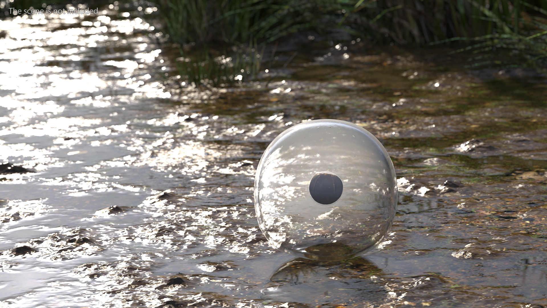 3D model Frog Egg