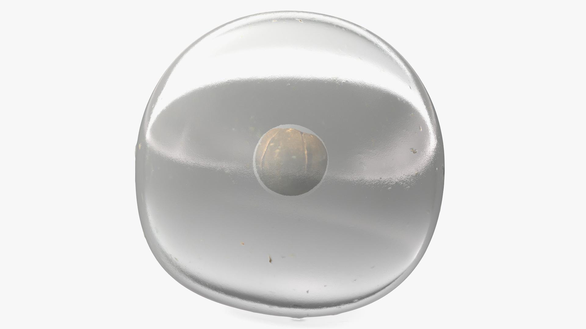 3D model Frog Egg