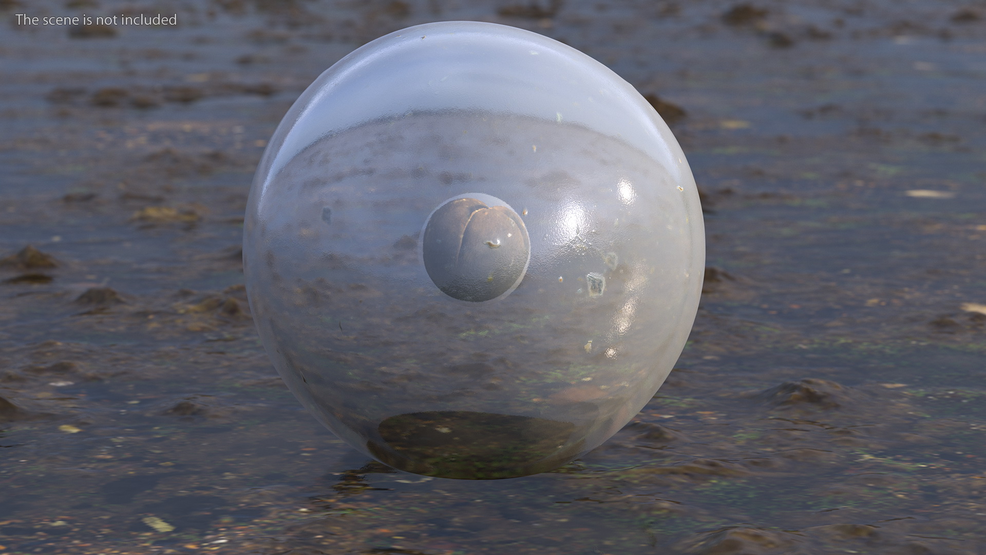 3D model Frog Egg