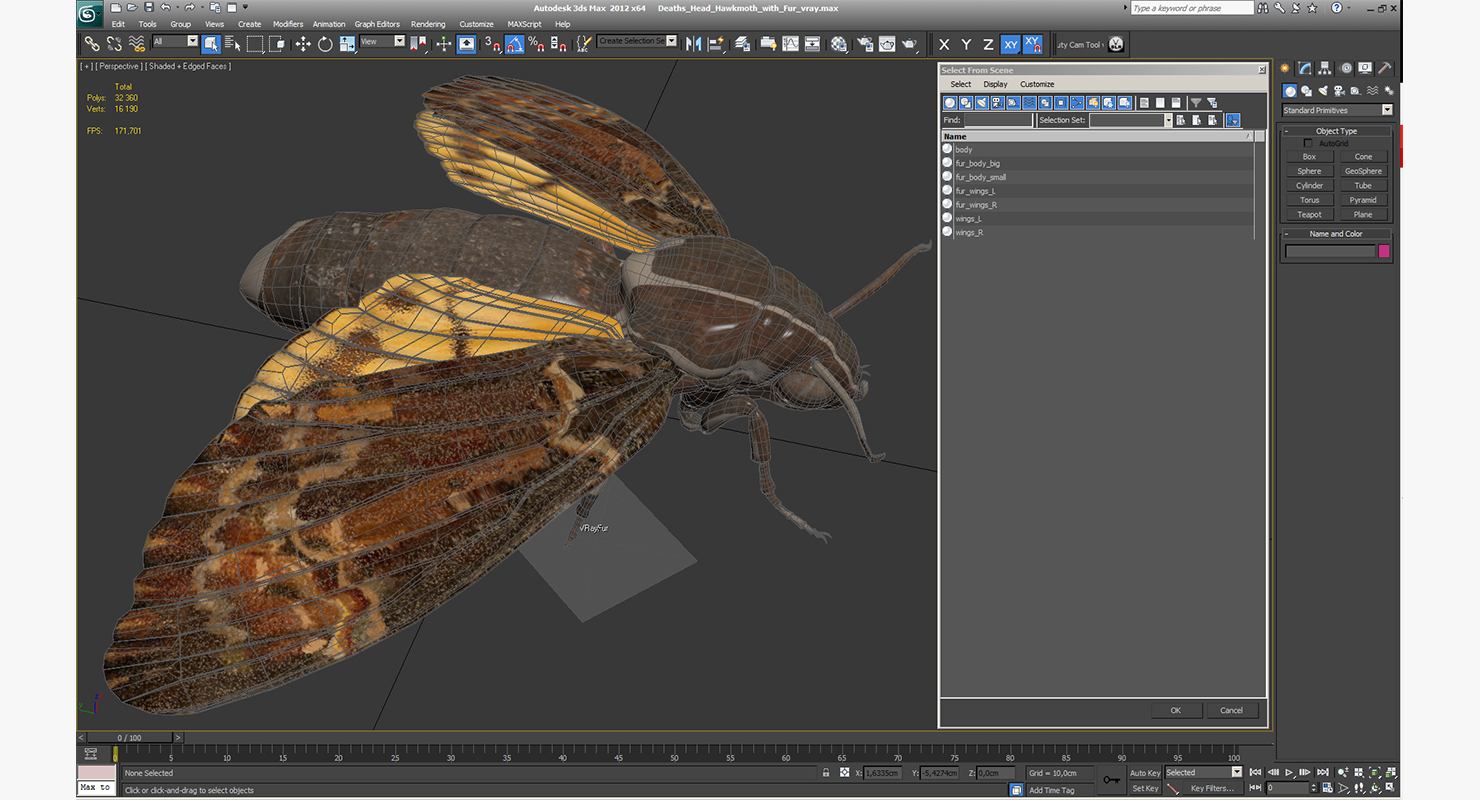 Deaths Head Hawkmoth with Fur 3D model