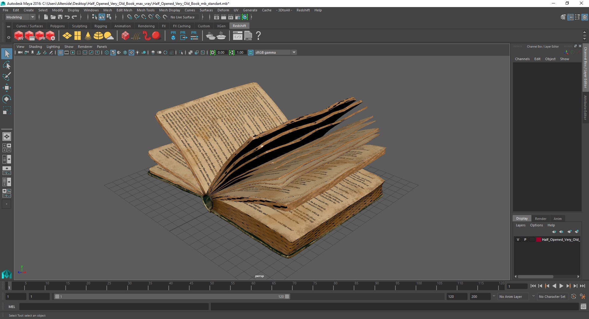 3D model Half Opened Very Old Book