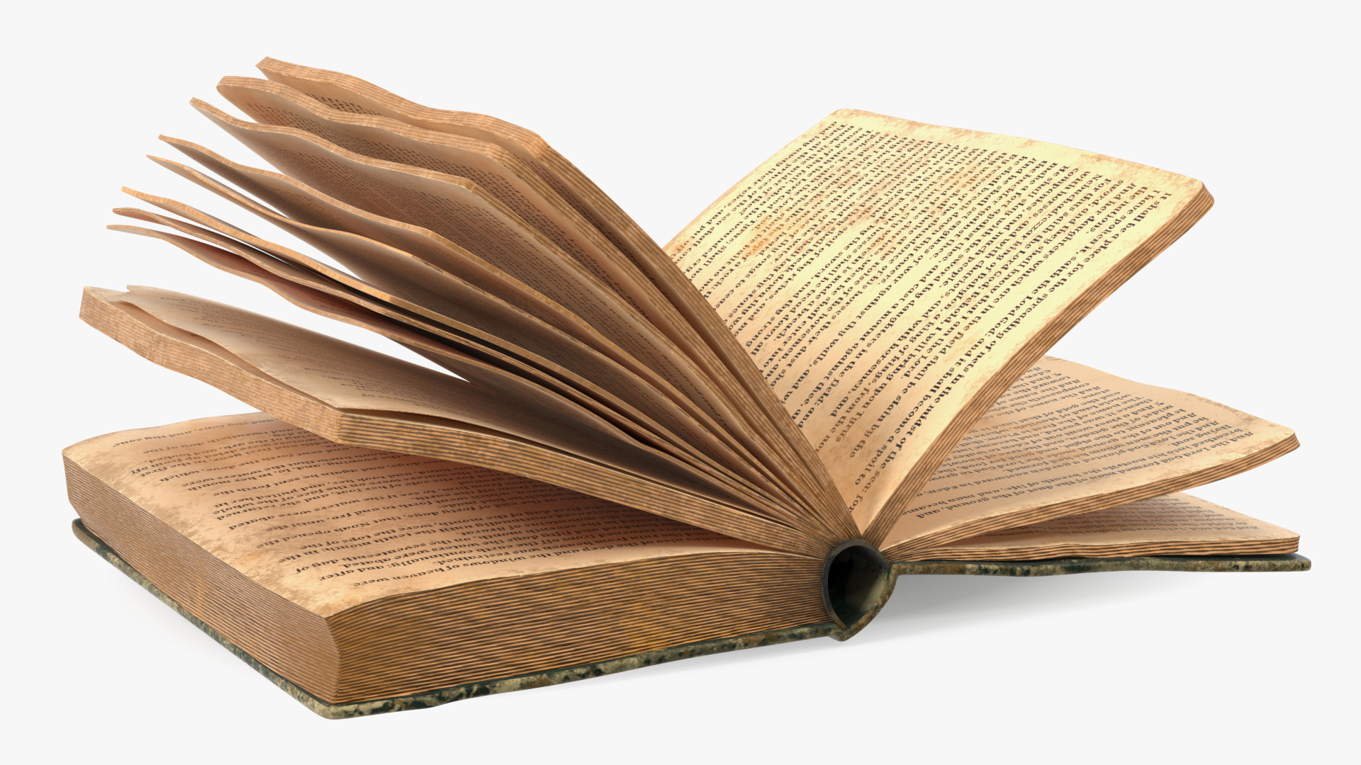 3D model Half Opened Very Old Book