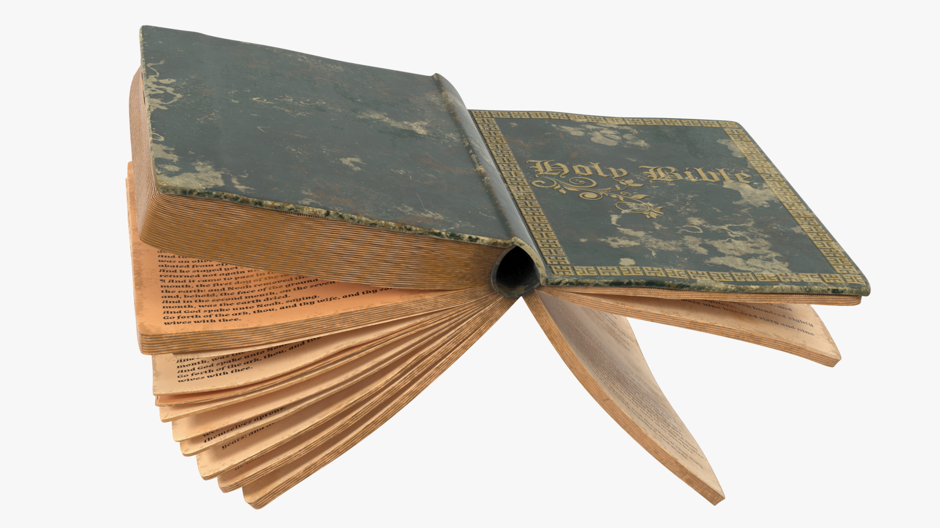 3D model Half Opened Very Old Book