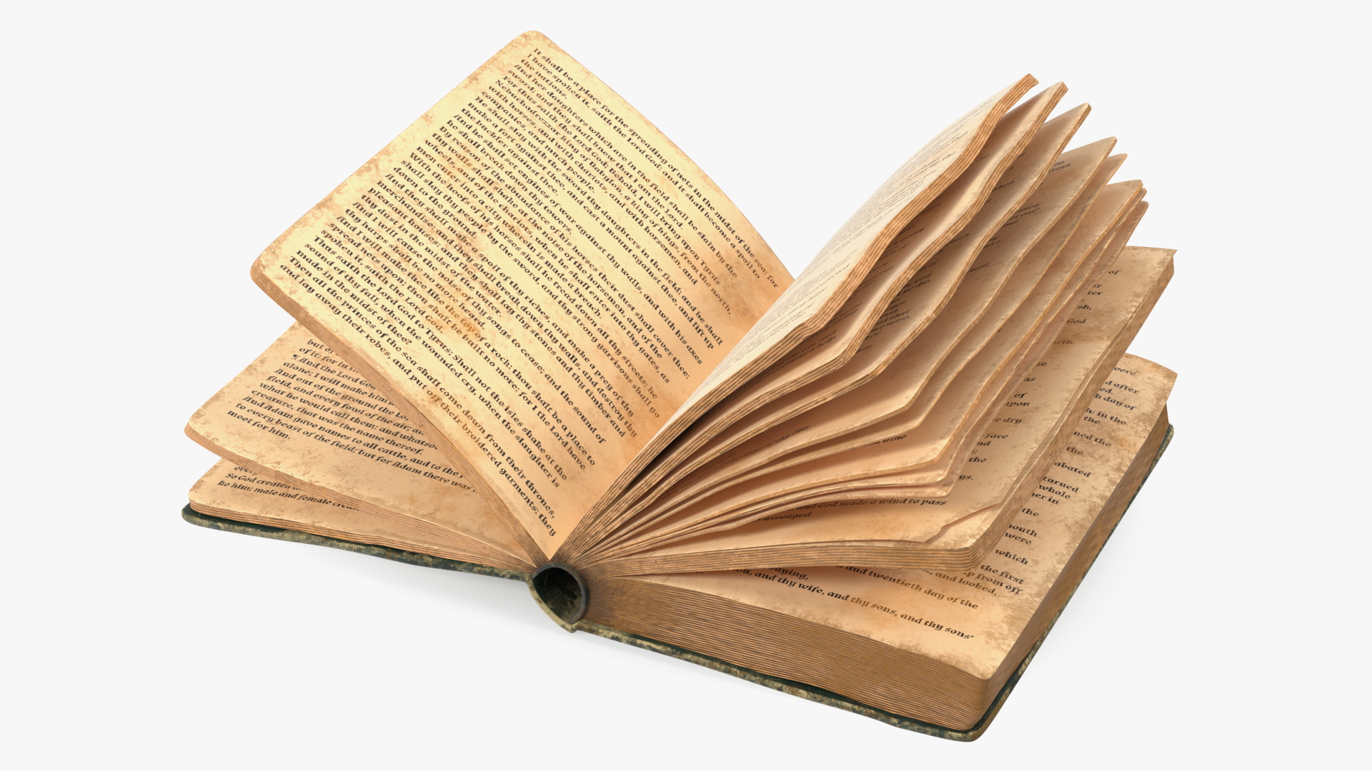 3D model Half Opened Very Old Book