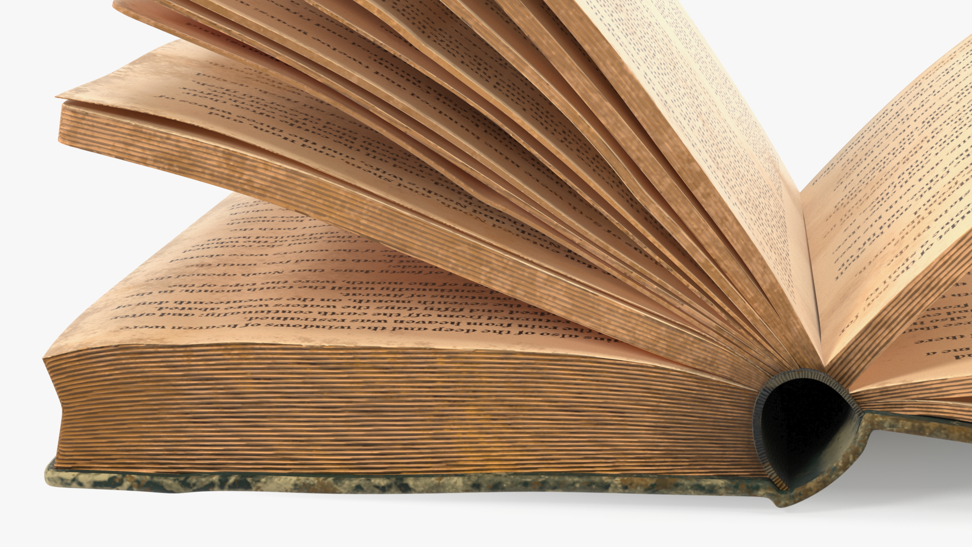 3D model Half Opened Very Old Book
