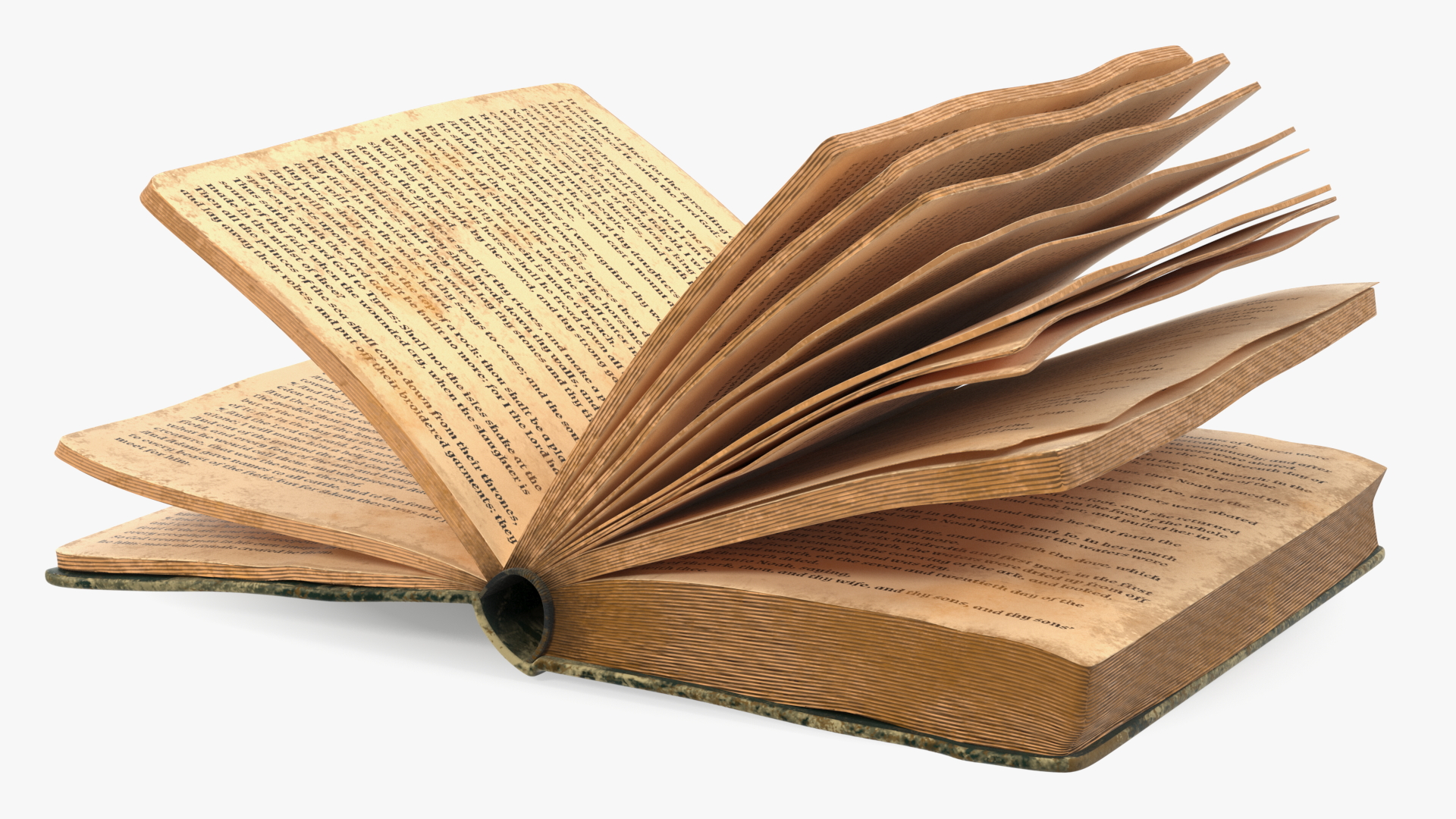 3D model Half Opened Very Old Book