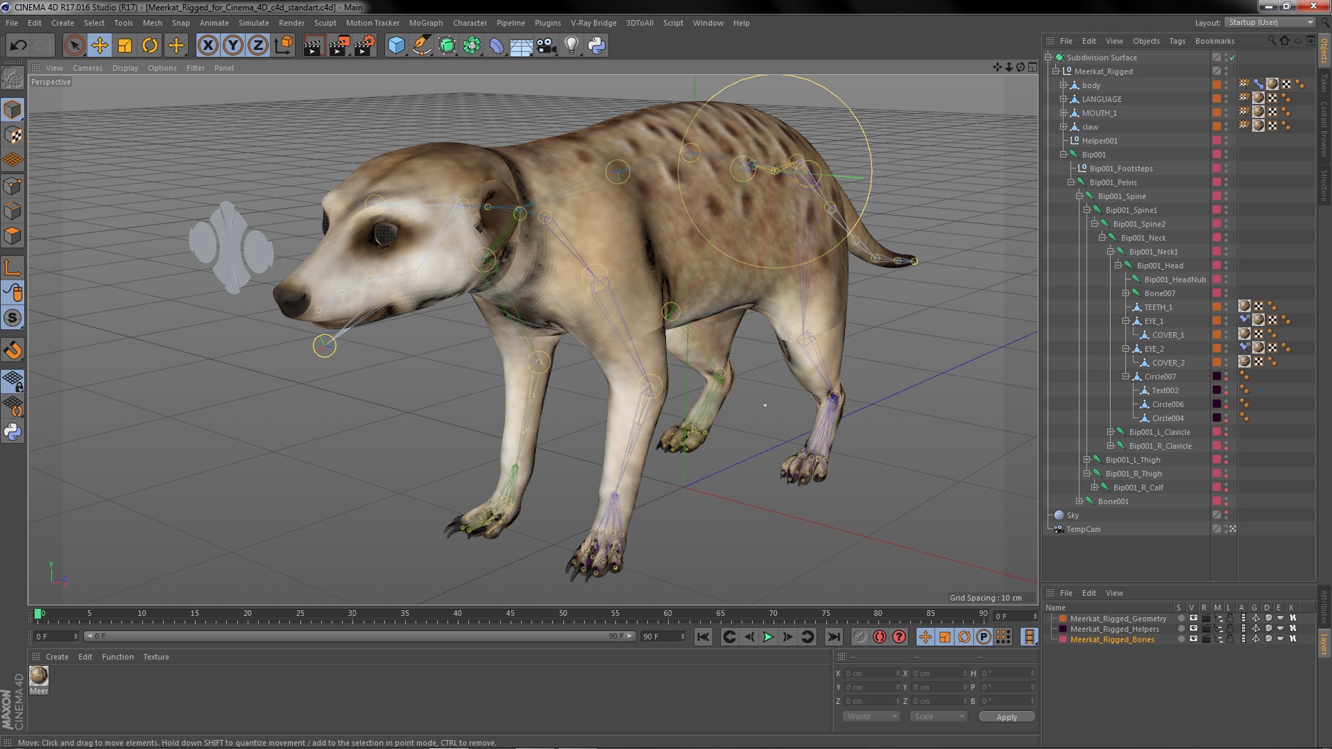 3D Meerkat Rigged for Cinema 4D model