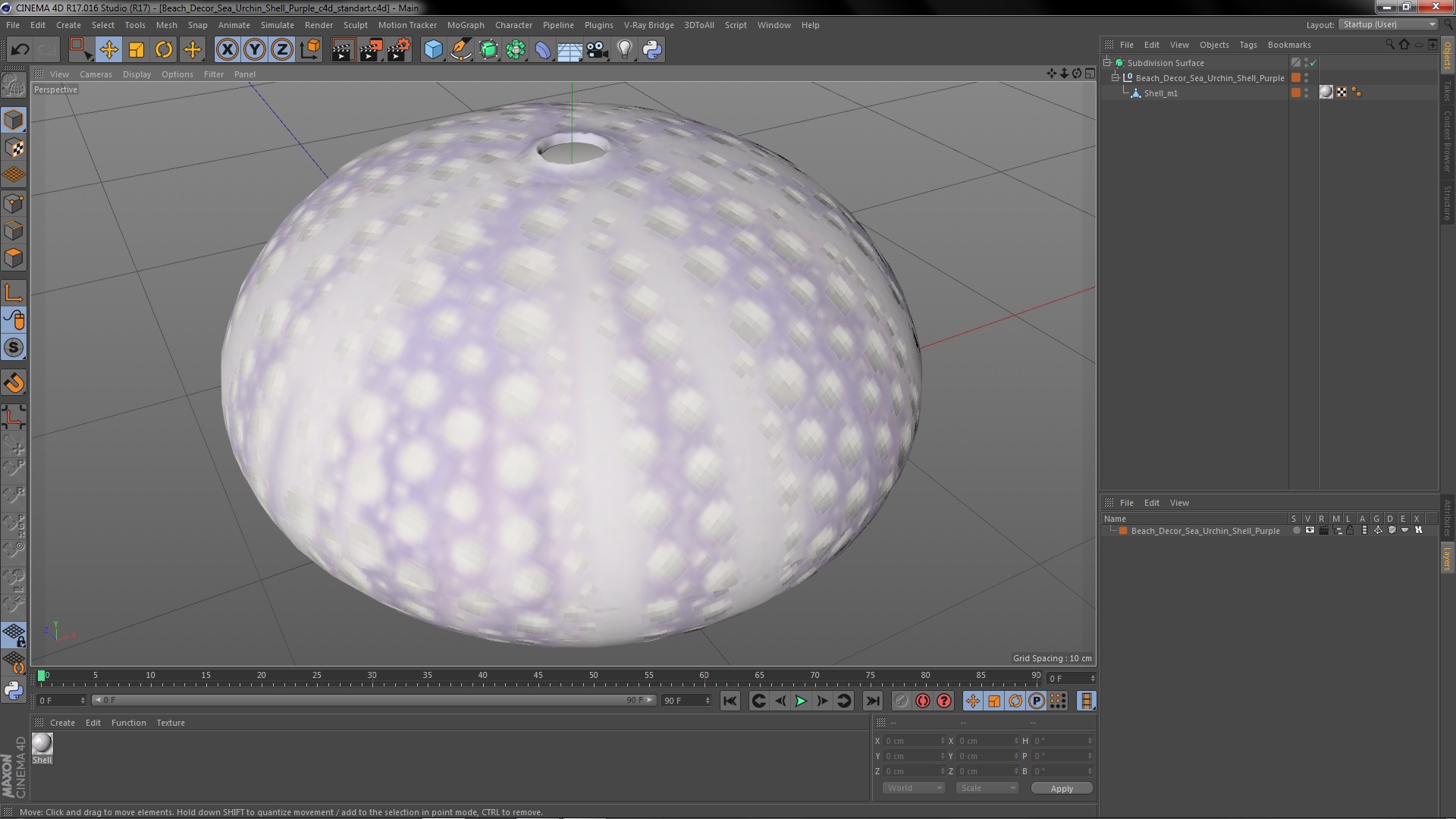3D model Beach Decor Sea Urchin Shell Purple