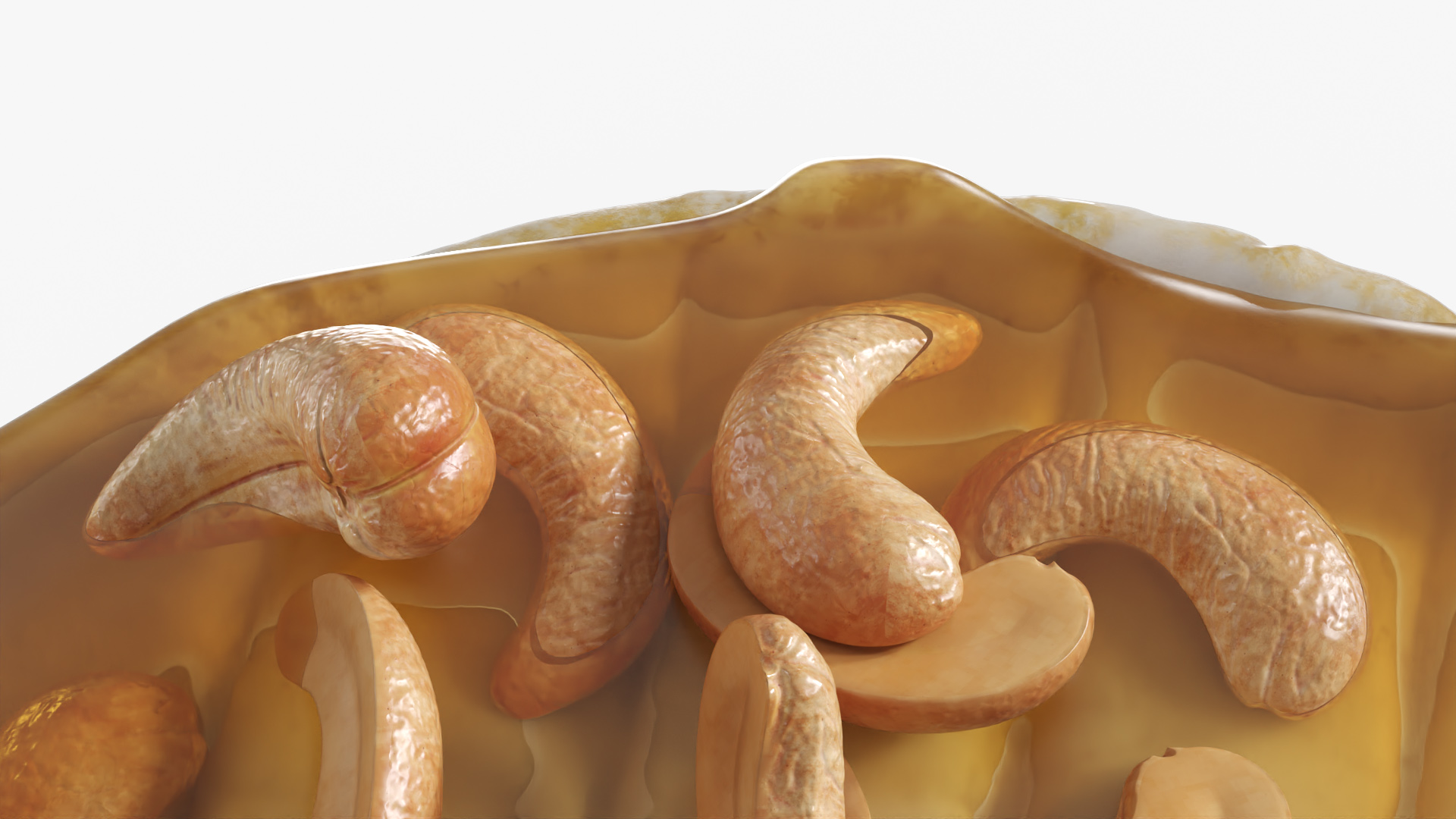 Baked Brie Cheese Wheel with Cashew Nuts and Honey, view 6