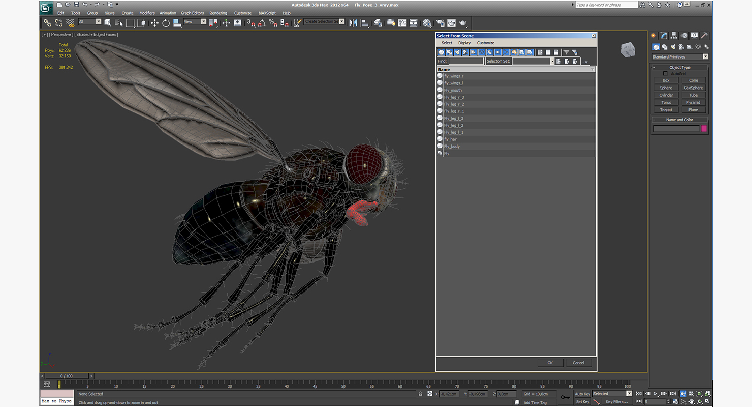 3D model Fly Pose 3