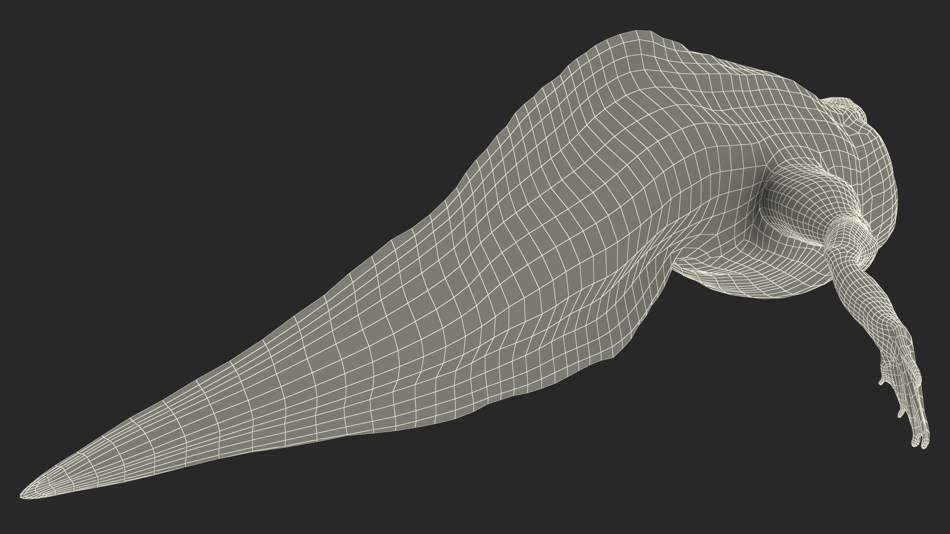 3D Tadpole Late Stage model