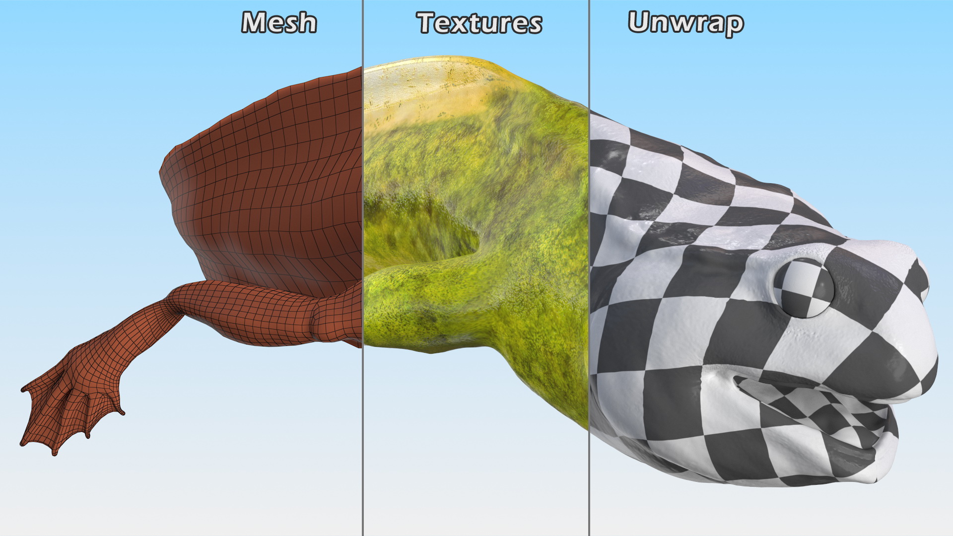 3D Tadpole Late Stage model
