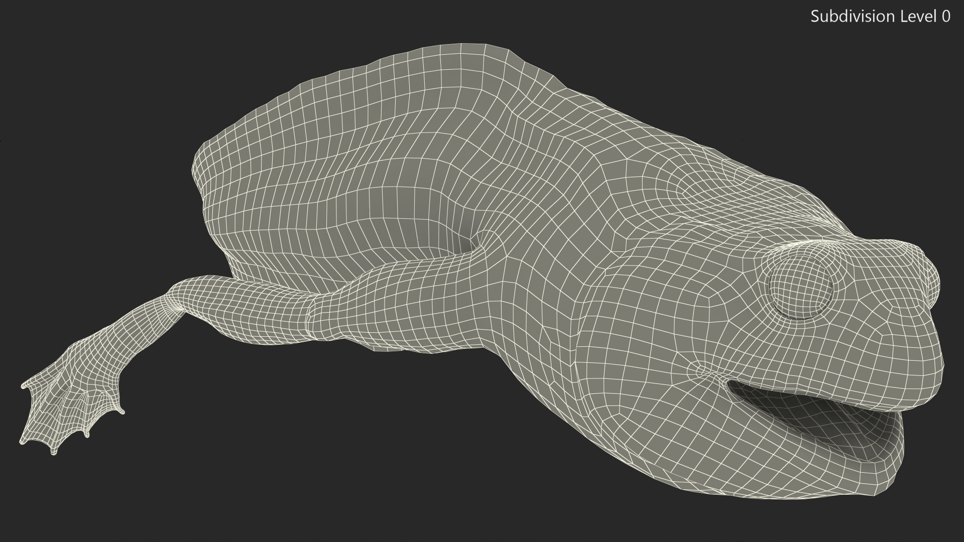 3D Tadpole Late Stage model
