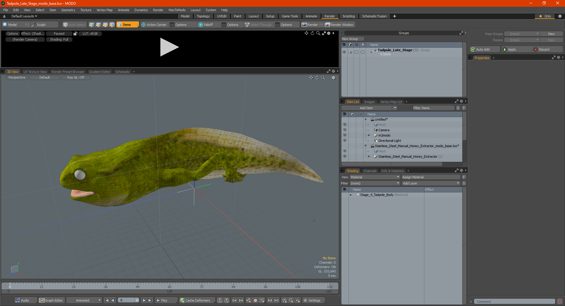 3D Tadpole Late Stage model