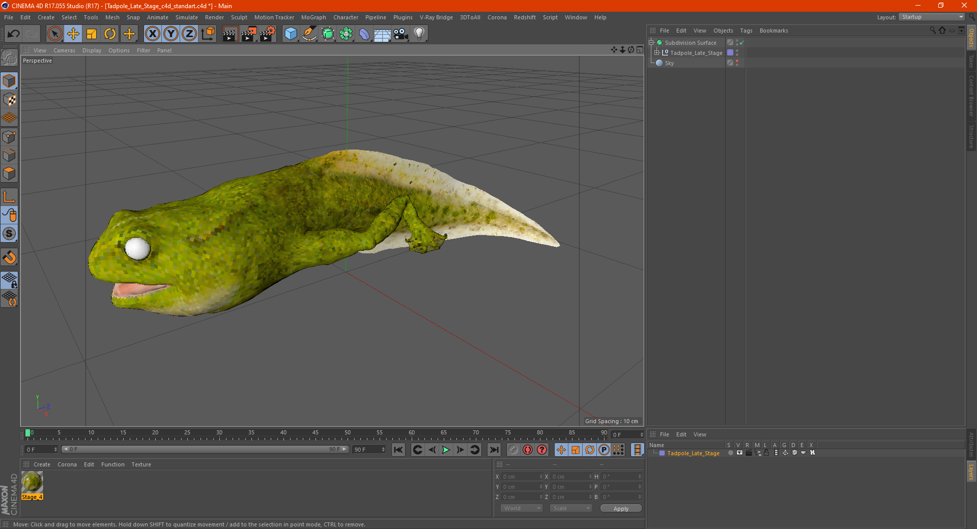 3D Tadpole Late Stage model