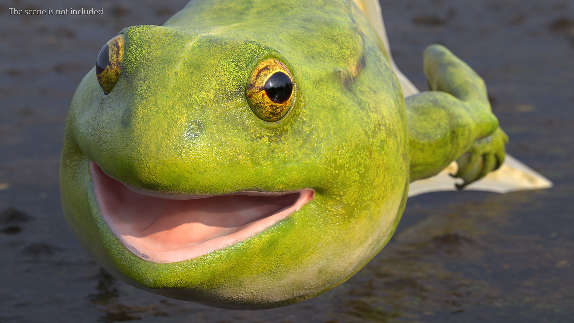 3D Tadpole Late Stage model