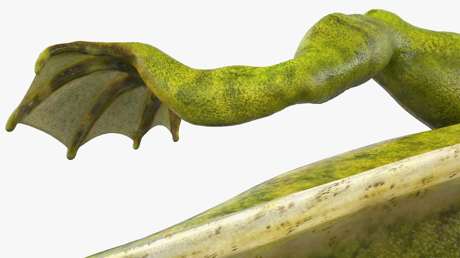 3D Tadpole Late Stage model