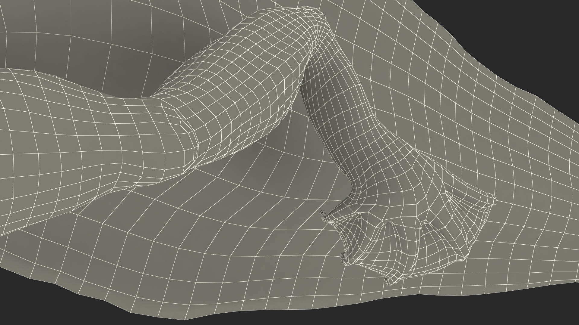 3D Tadpole Late Stage model