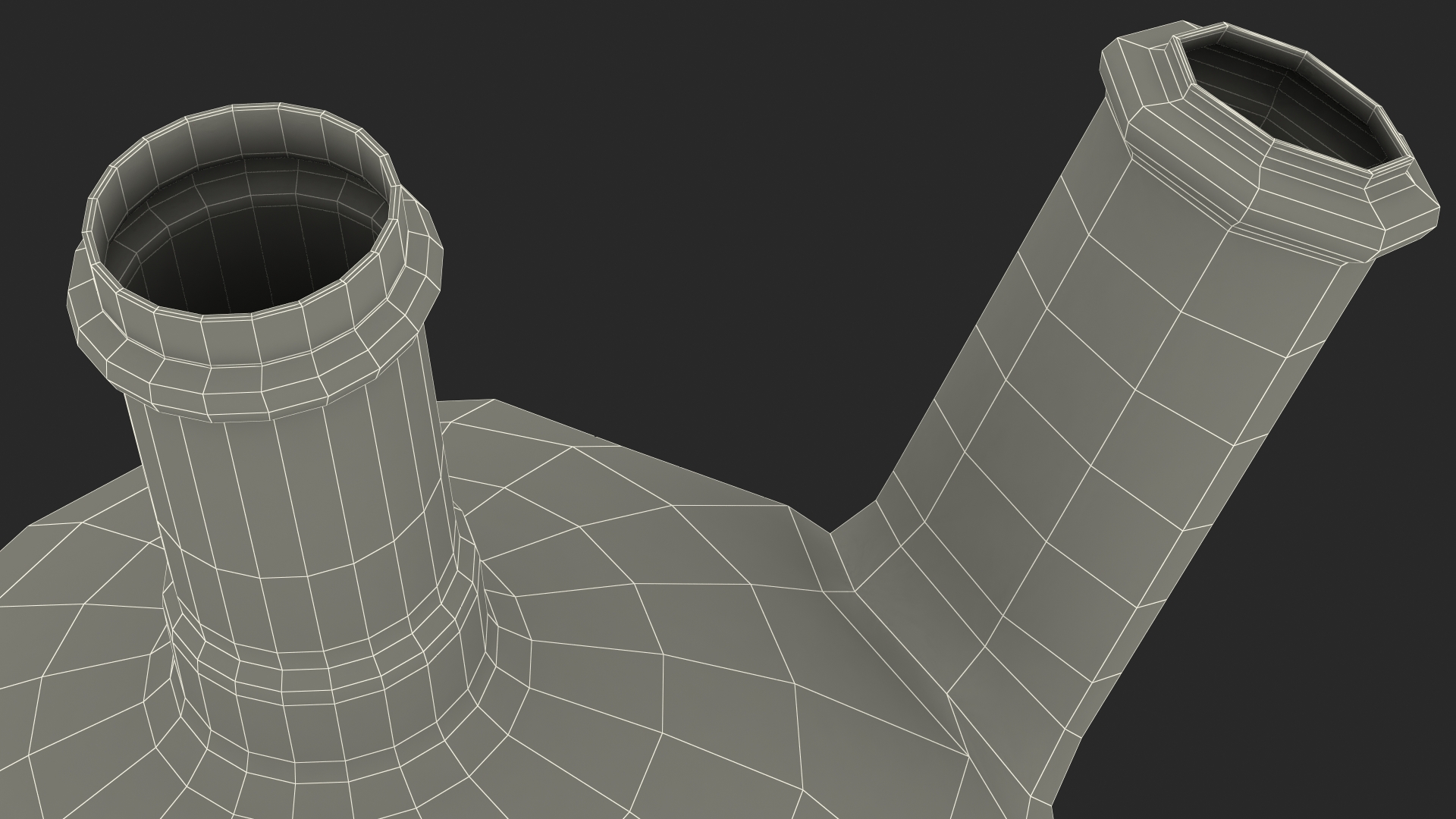 3D model Round Bottom 2-neck Flask