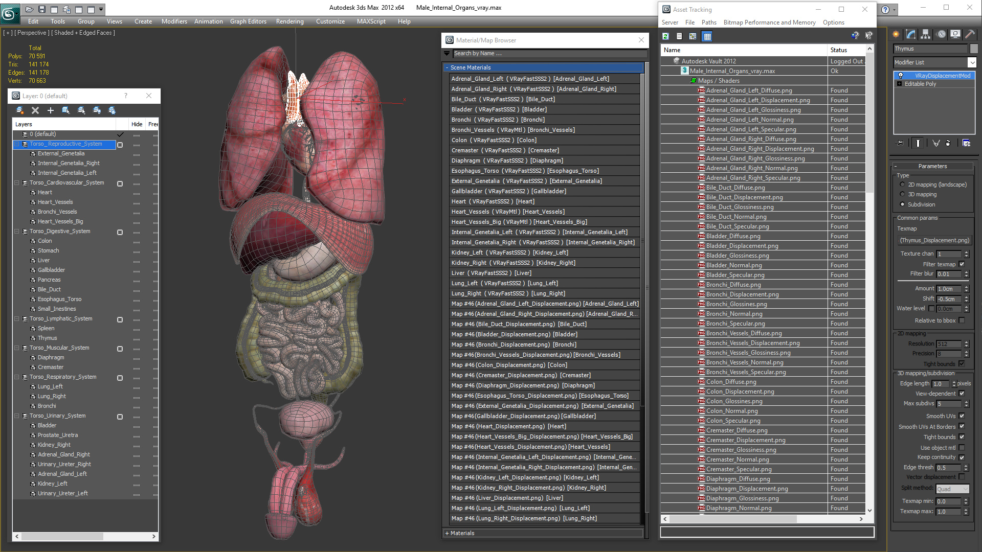 3D model Male Internal Organs