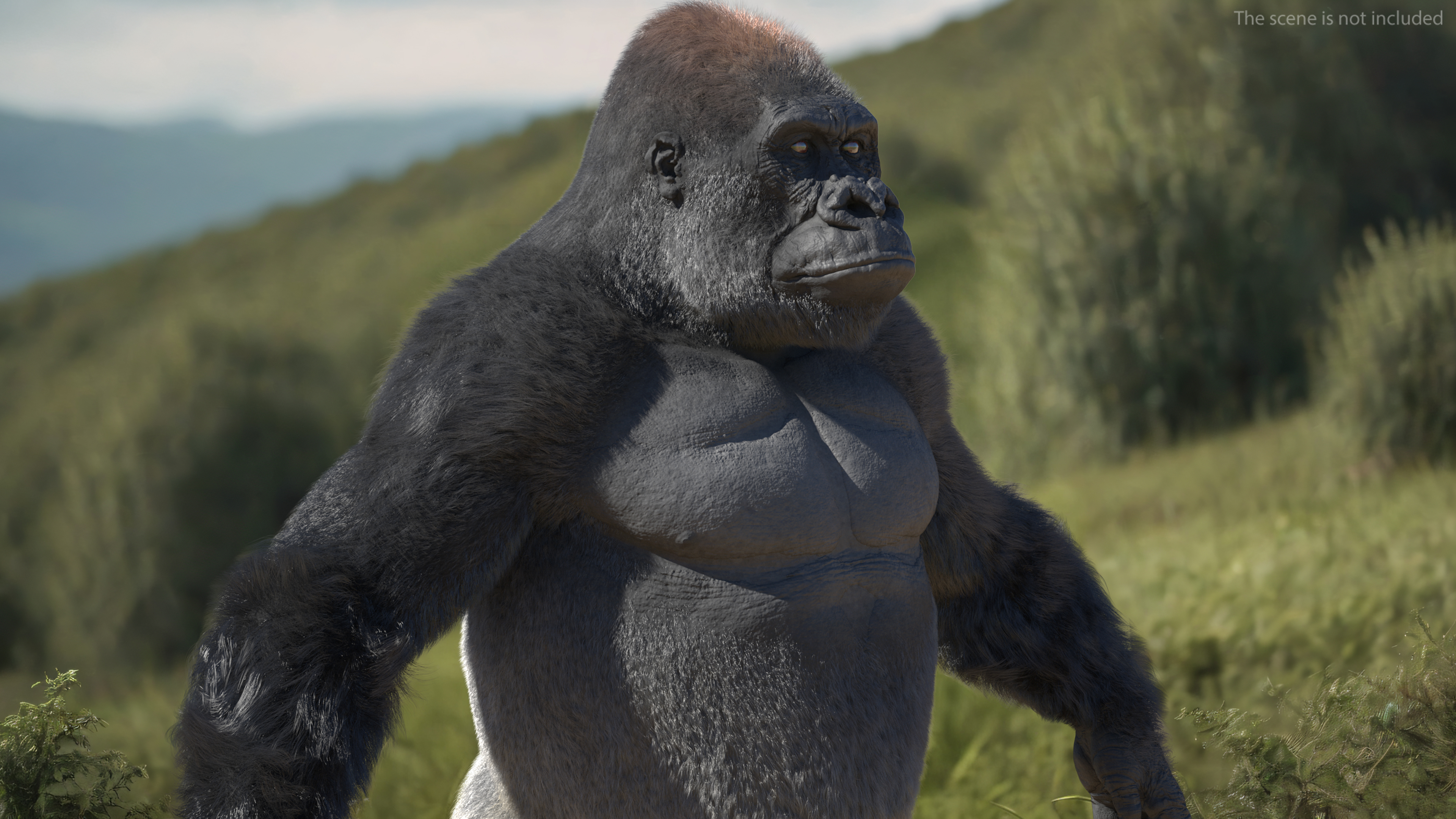 Western Gorilla Base Pose Fur 3D model