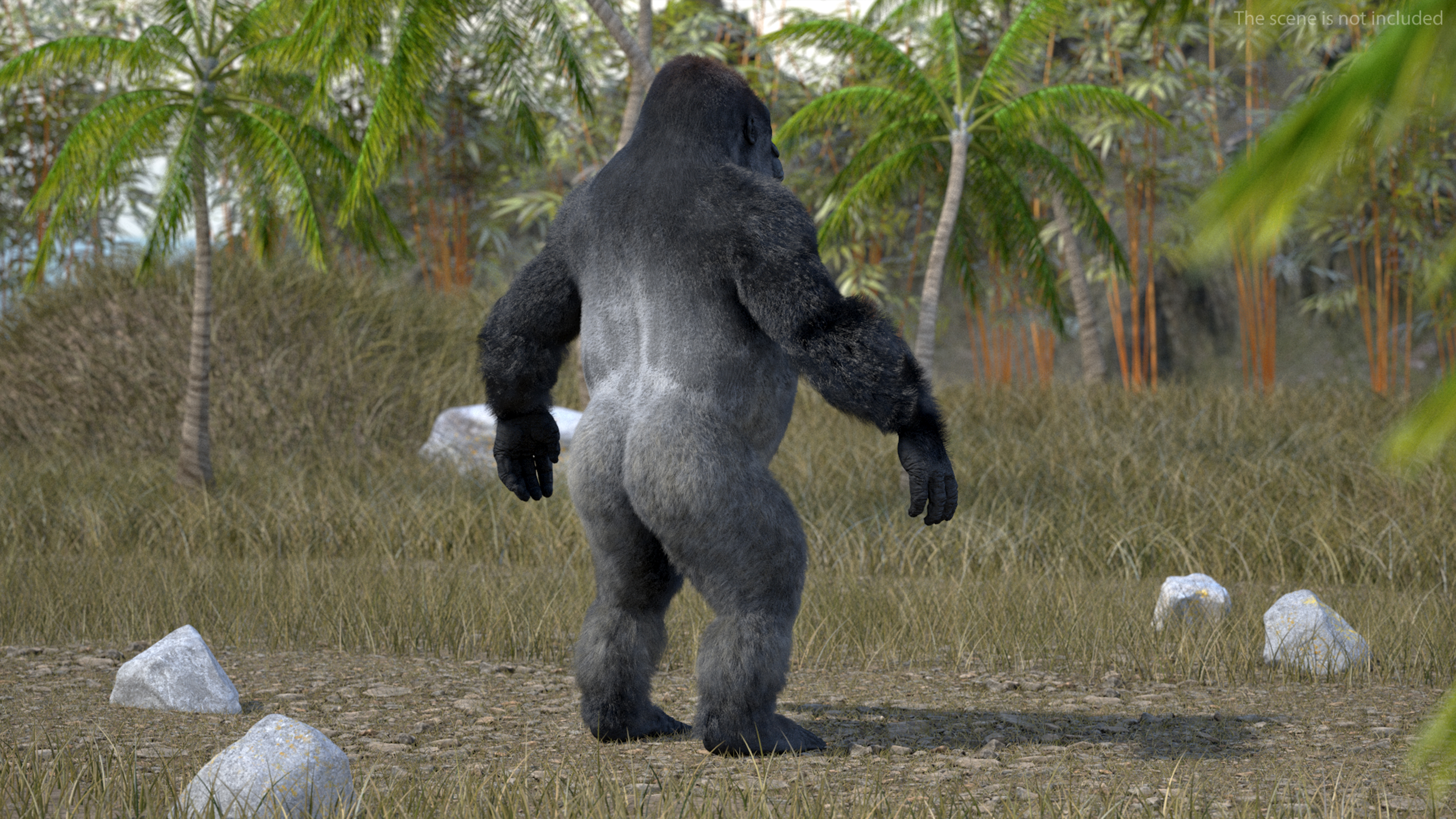Western Gorilla Base Pose Fur 3D model