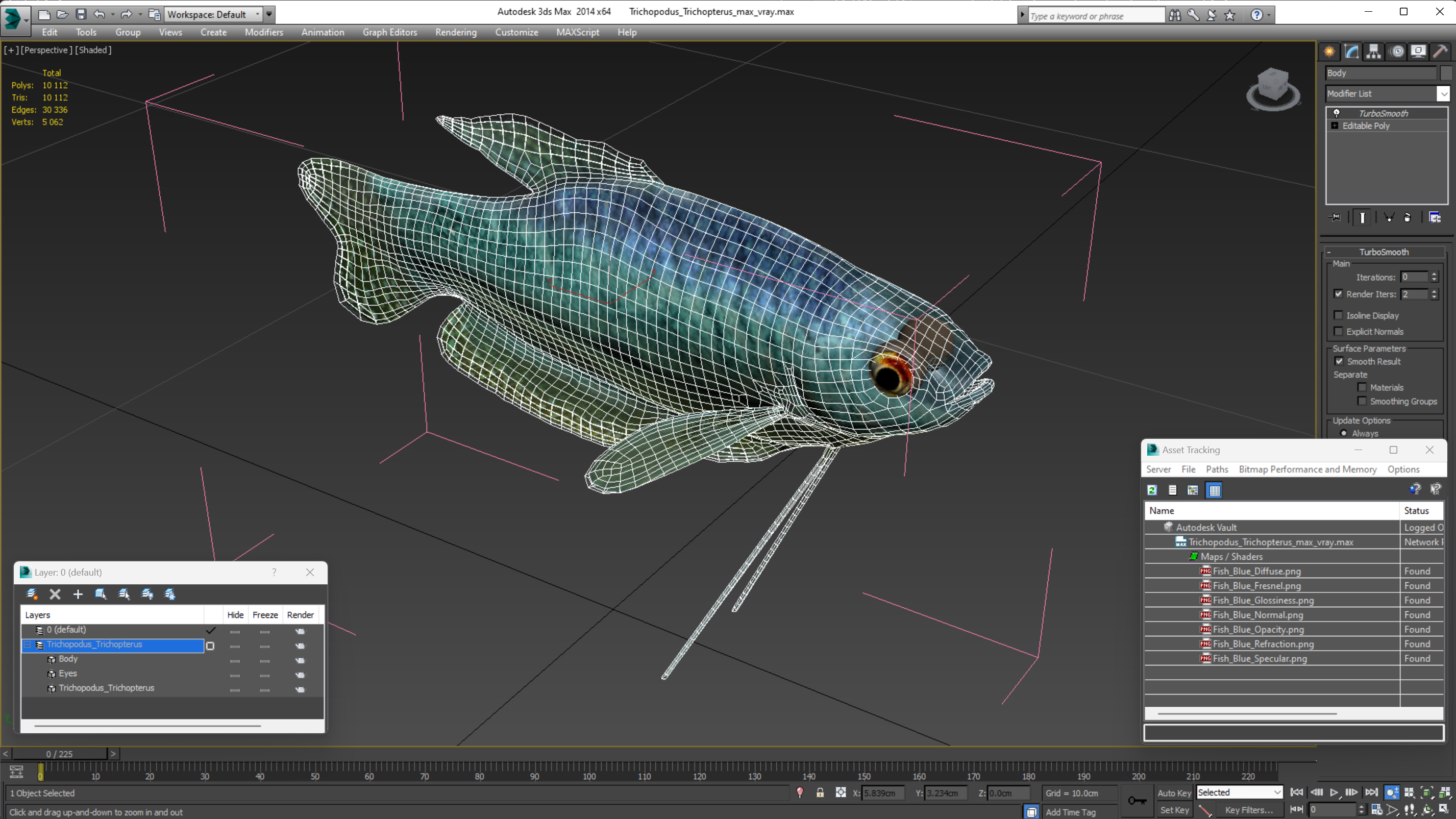 Trichopodus Trichopterus 3D model