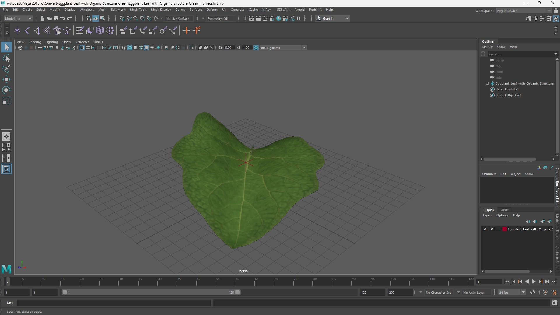Eggplant Leaf with Organic Structure Green, view 10